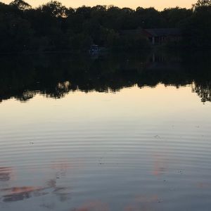 Meet your Posher, Nimo